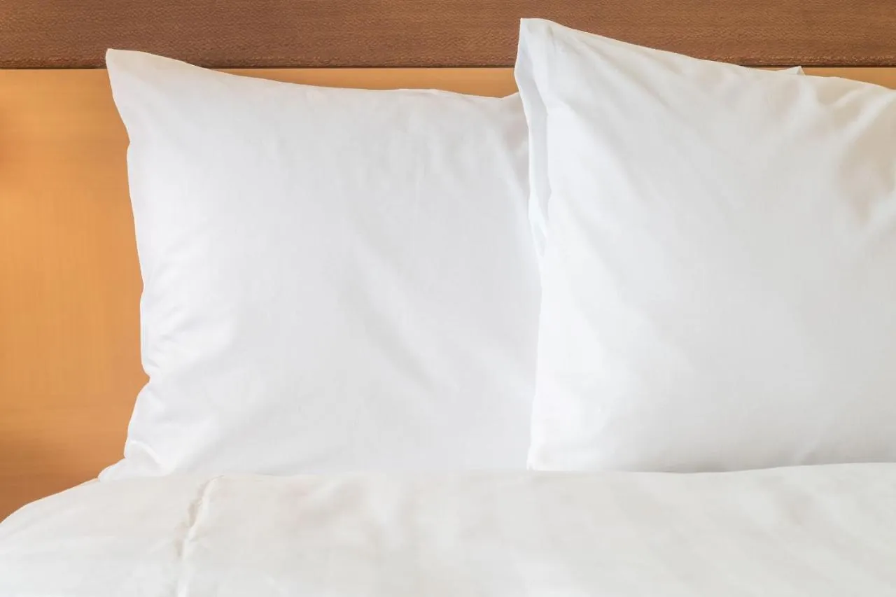 Hotel Ana Holiday Inn Sapporo Susukino By Ihg